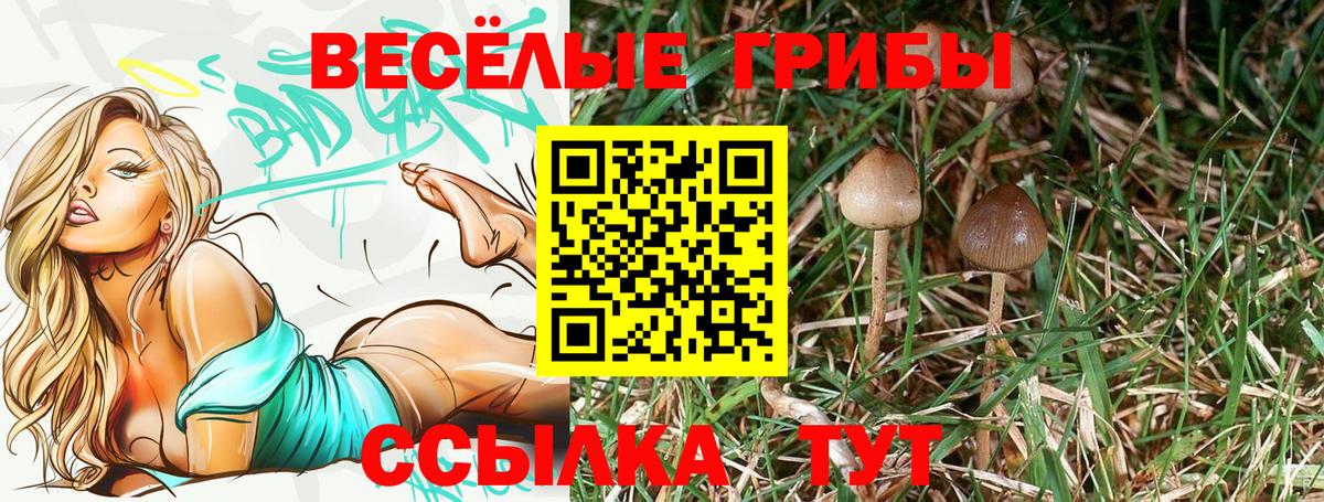 Галлюциногенные грибы Cubensis Родники