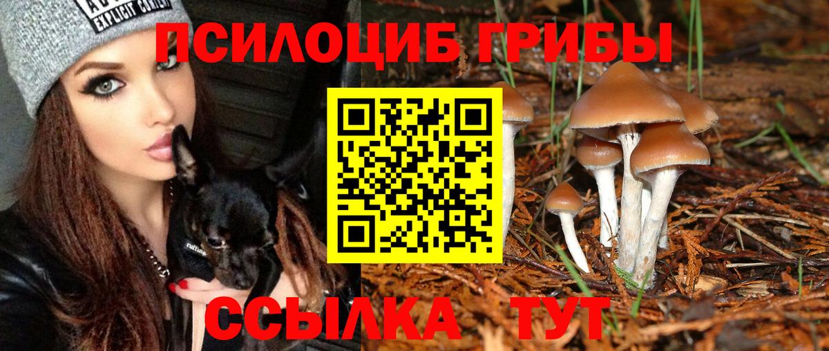закладка  Галлюциногенные грибы Psilocybe  Вход с VPN  Галлюциногенные грибы мухоморы  Родники 